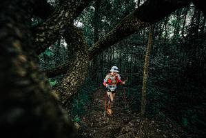 BIB: 
                            <button type="button" onclick="openModal(25683253)" class="btn btn-primary btn-sm float-right btn-popup" data-toggle="modal" data-target=".modal-high-quality">
                        <i class="fas fa-shopping-cart"></i> Add to Cart
                    </button>
                                            <button type="button" onclick="isThisMe(25683253, true)" class="btn btn-success btn-sm float-right btn-popup btn-isme hidden" data-toggle="tooltip" data-placement="bottom" title="นี่คือรูปของคุณใช่ไหม คลิกที่นี่เพื่อเอาเข้าอัลบั้ม">
                        <i class="fas fa-plus"></i> Add to album
                    </button>
                    <button type="button" onclick="isThisMe(25683253, false)" class="btn btn-warning btn-sm float-right btn-popup btn-isnotme hidden">
                        <i class="fas fa-ban"></i> Remove from album
                    </button>